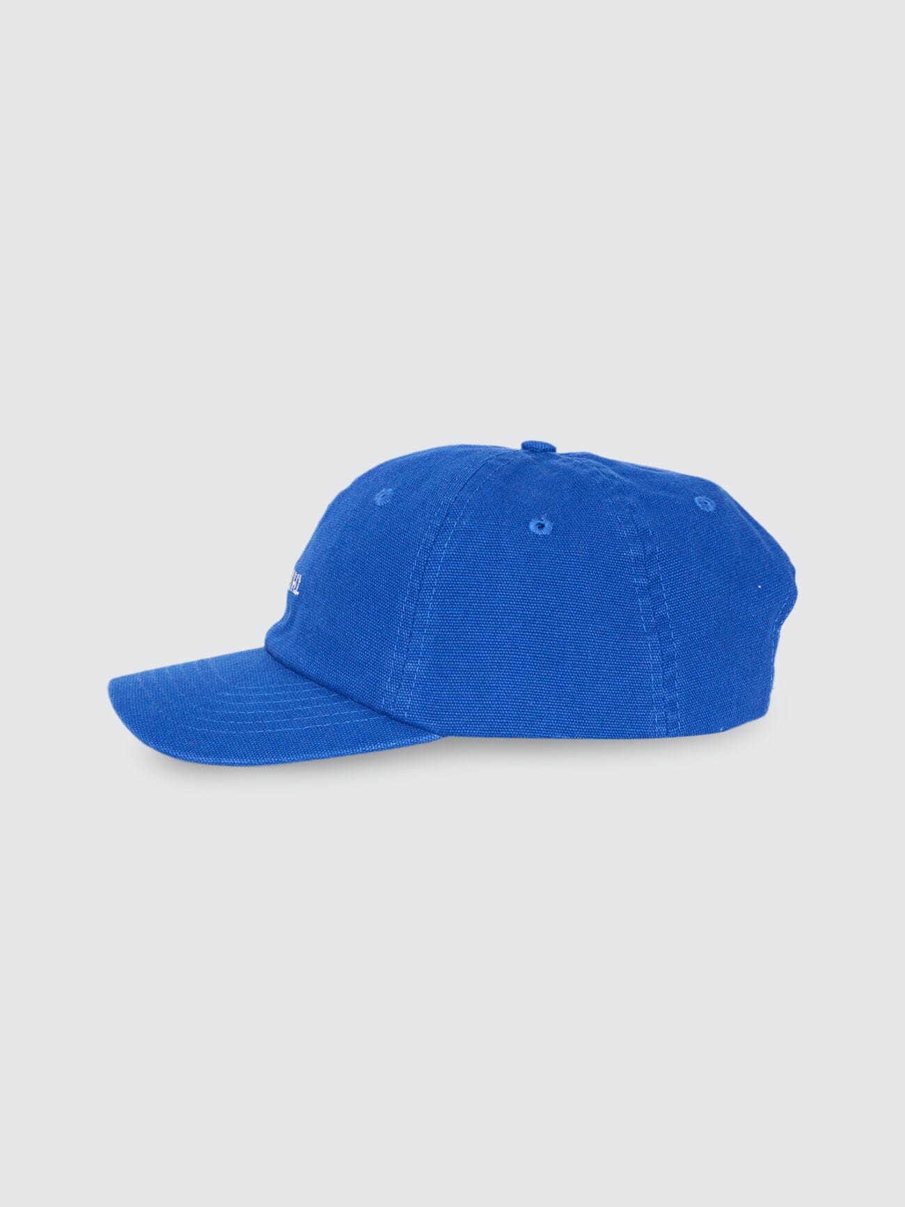 Minimal Thrills 6 Panel Cap - New Royal/Tofu