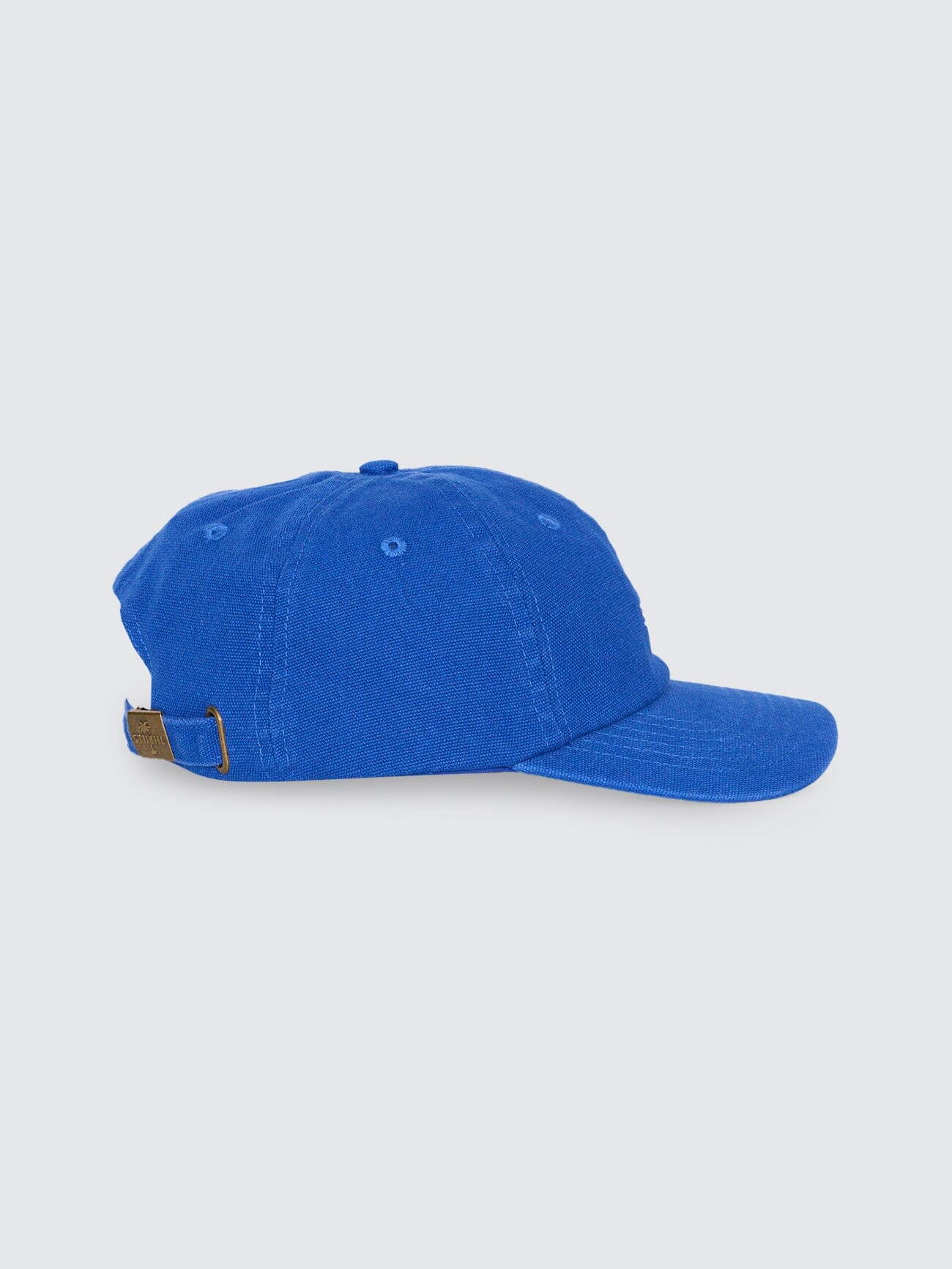 Minimal Thrills 6 Panel Cap - New Royal/Tofu