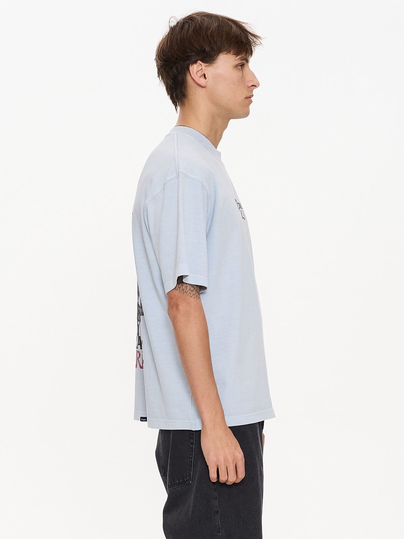 Paradise Valley Box Crop Tee - Baby Blue