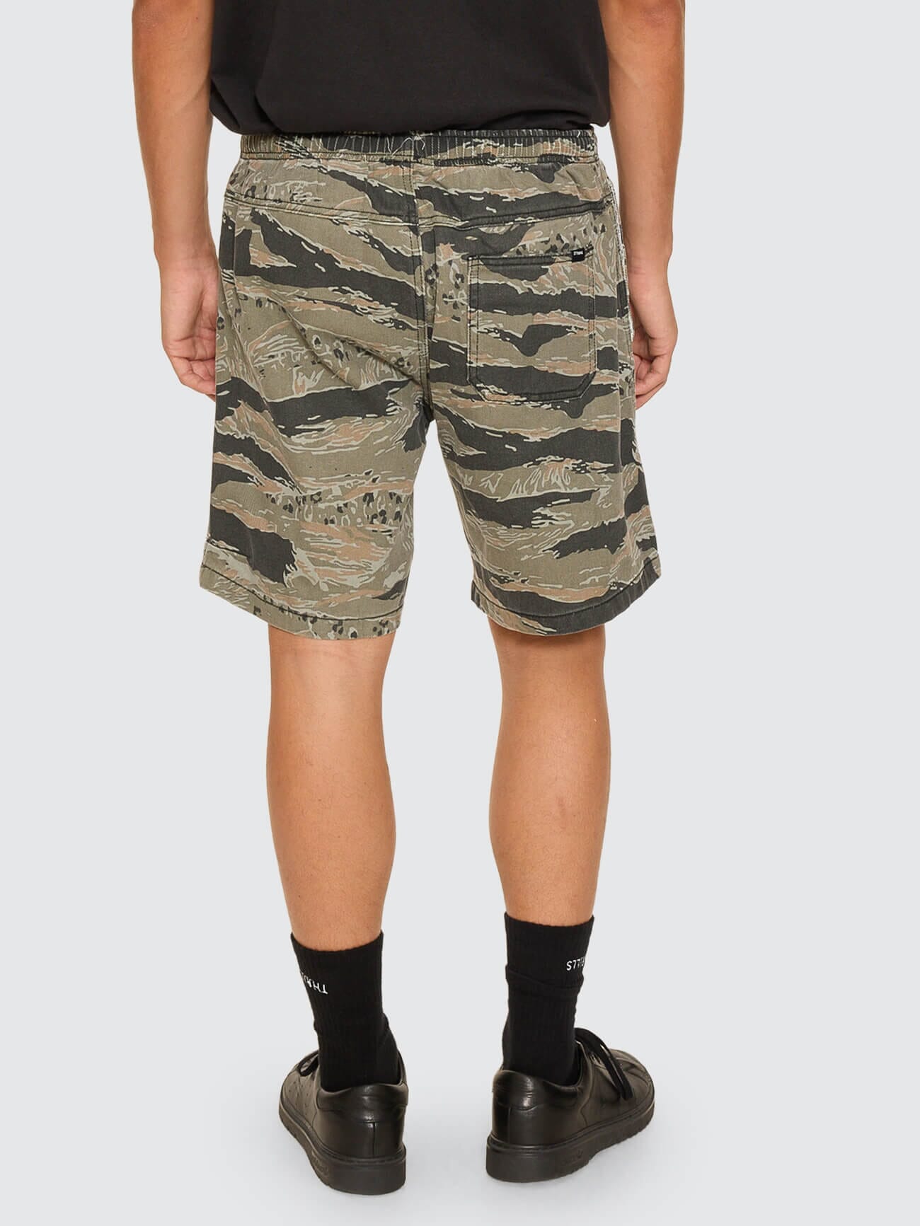 Transmission Volley - Black Tiger