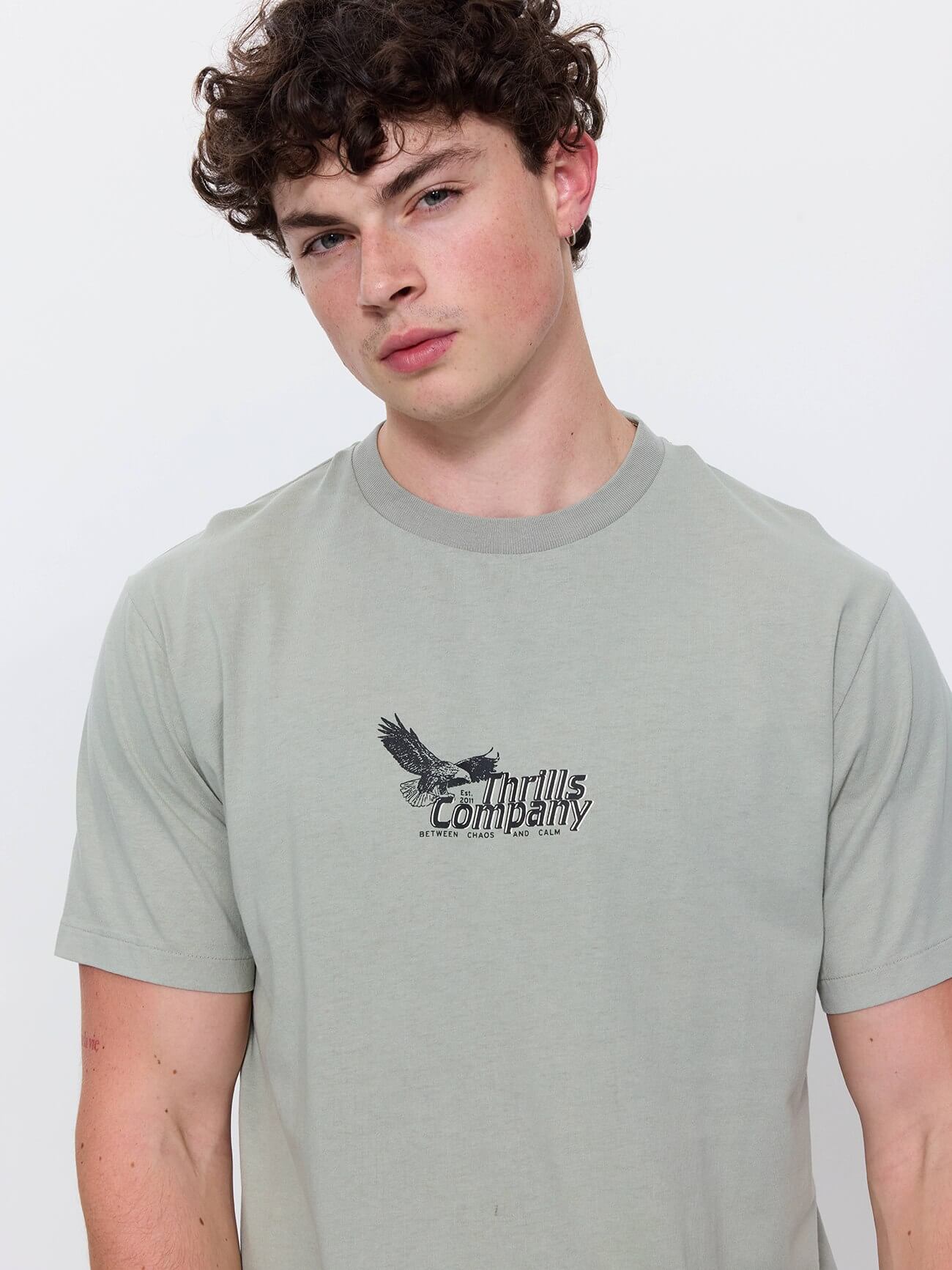 Between Chaos And Calm Merch Fit Tee - Dirty Sage XS