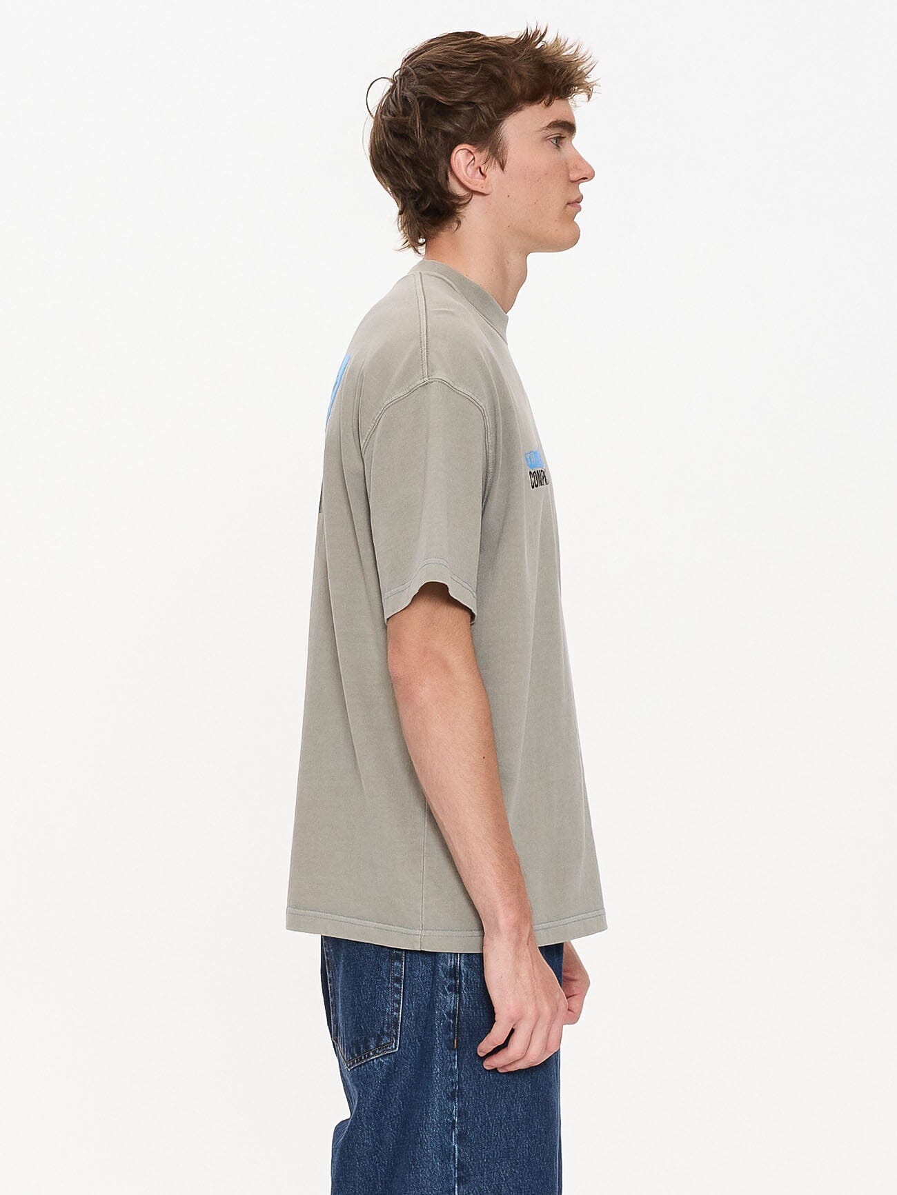 Total Anarchy Box Fit Cropped Tee - Fog