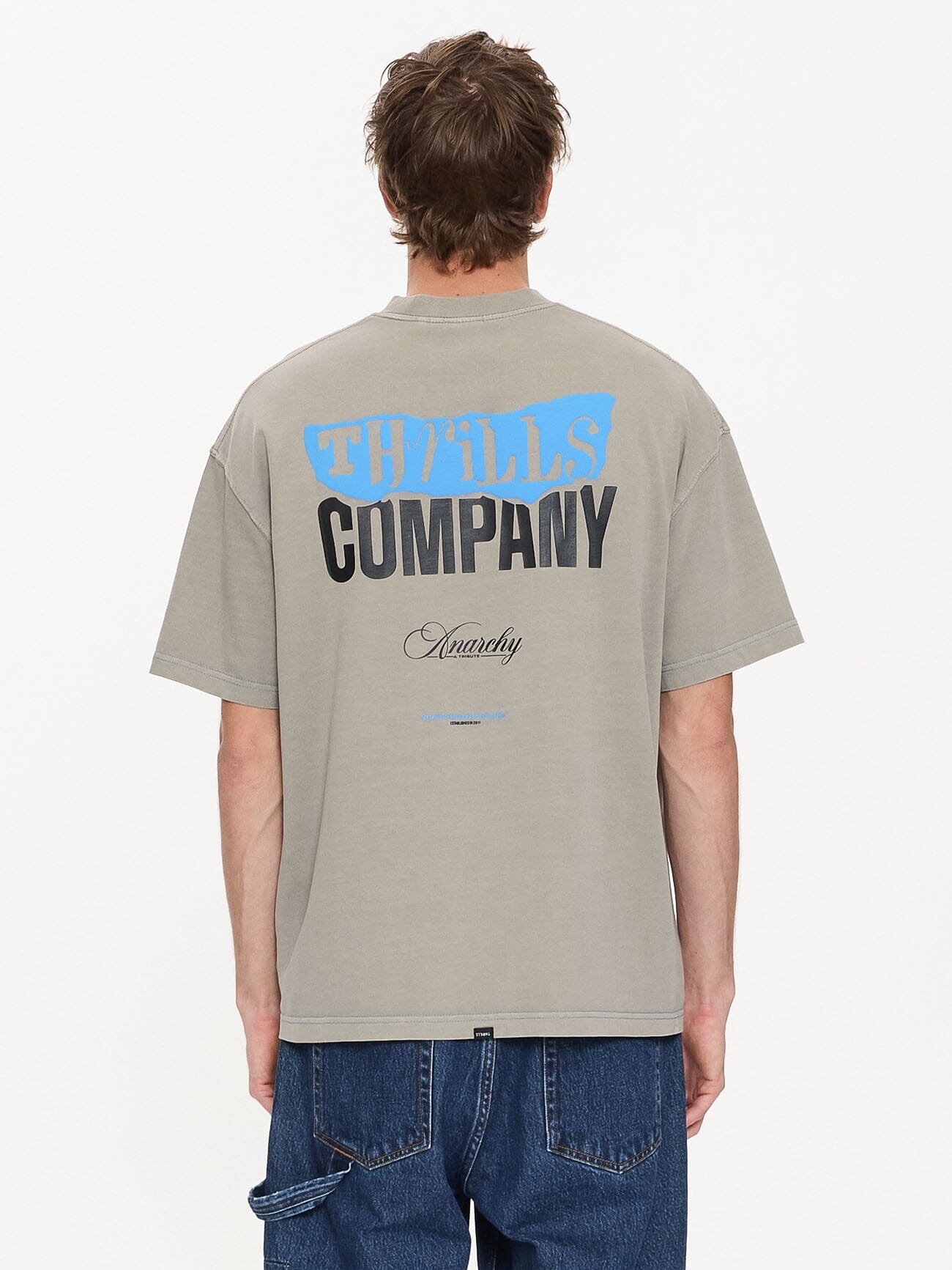 Total Anarchy Box Fit Cropped Tee - Fog