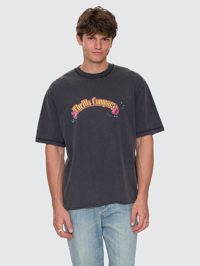 Fury Box Fit Oversize Cropped Tee - Temple Grey XS