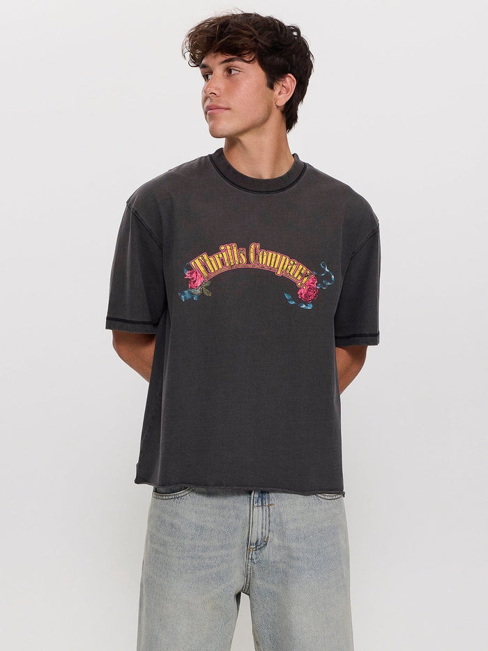 Fury Box Fit Oversize Cropped Tee - Temple Grey XS