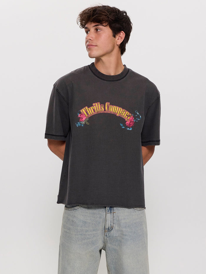 Fury Box Fit Oversize Cropped Tee - Temple Grey XS