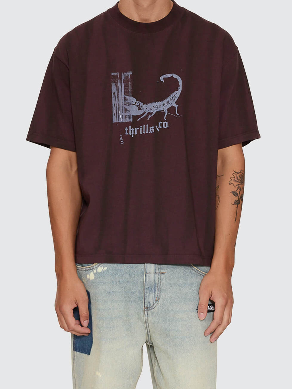 New Delusions Box Crop Oversize Tee - Sunfade Bleach Aubergine XS