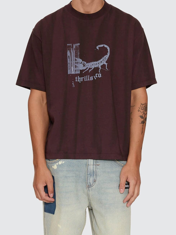 New Delusions Box Crop Oversize Tee - Sunfade Bleach Aubergine XS