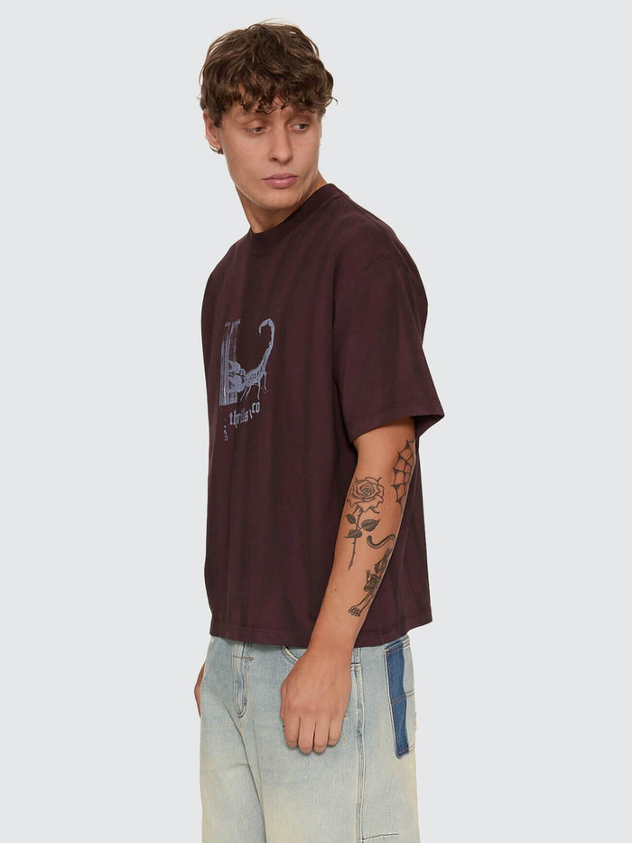 New Delusions Box Crop Oversize Tee - Sunfade Bleach Aubergine XS