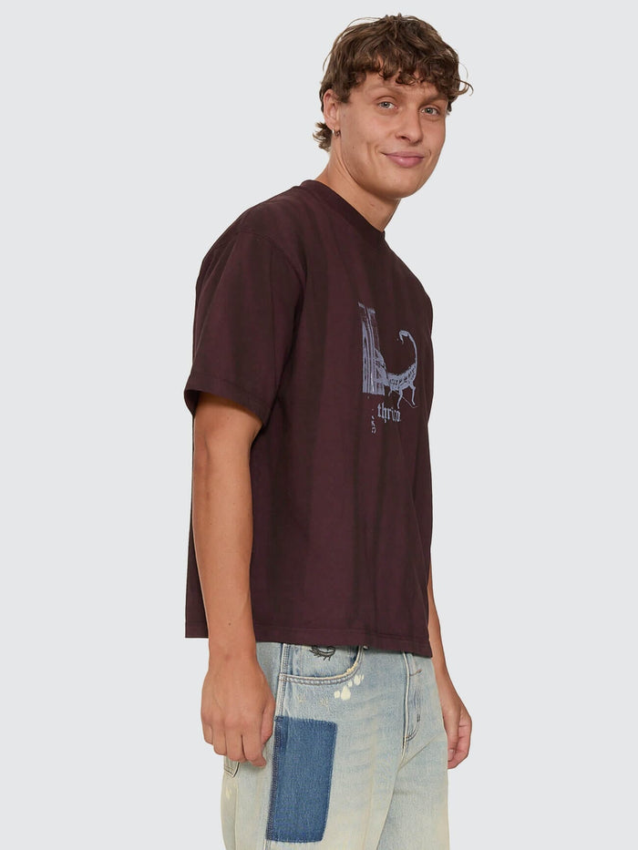 New Delusions Box Crop Oversize Tee - Sunfade Bleach Aubergine XS