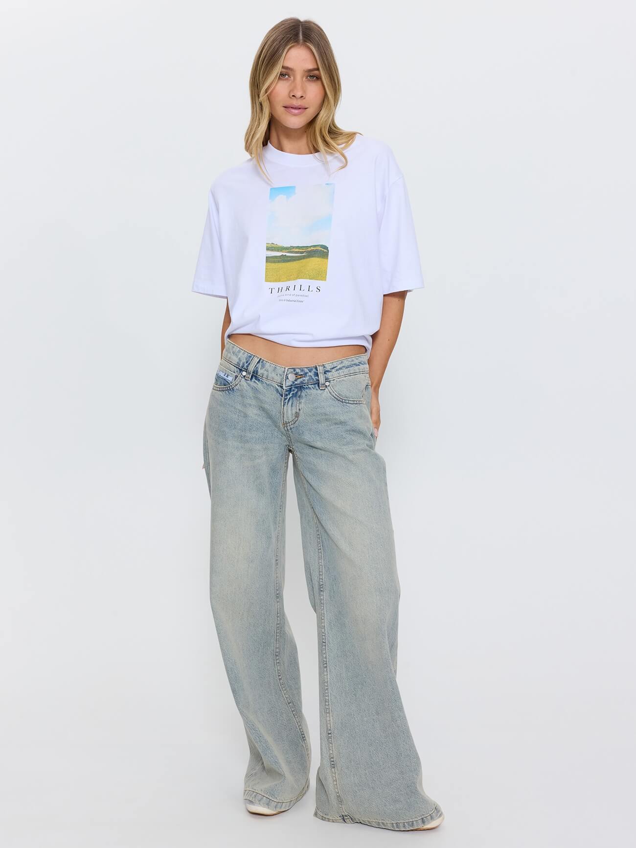 Wren Super Low Wide Leg Jean - Light Granite Blue 4