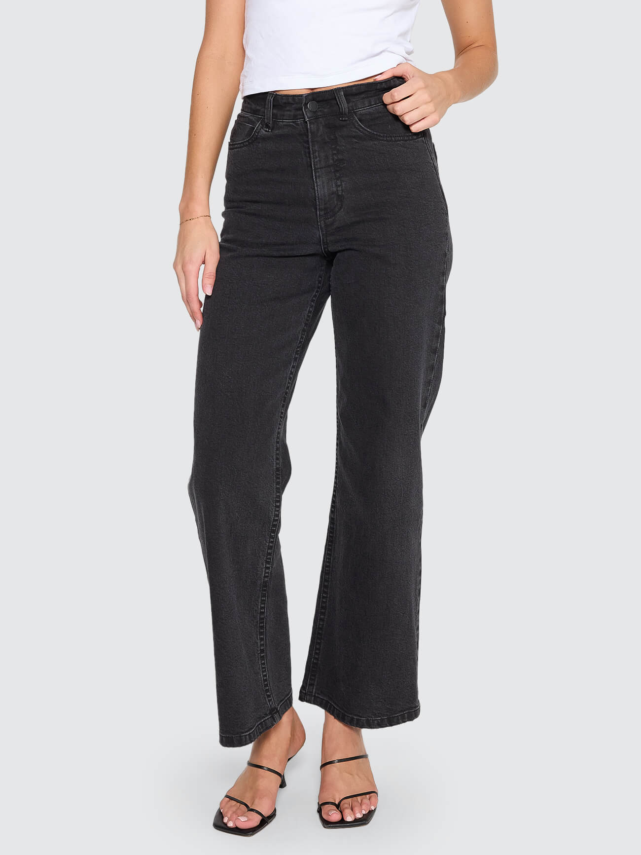 Holly High Rise Stretch Wide Jean - Aged Black