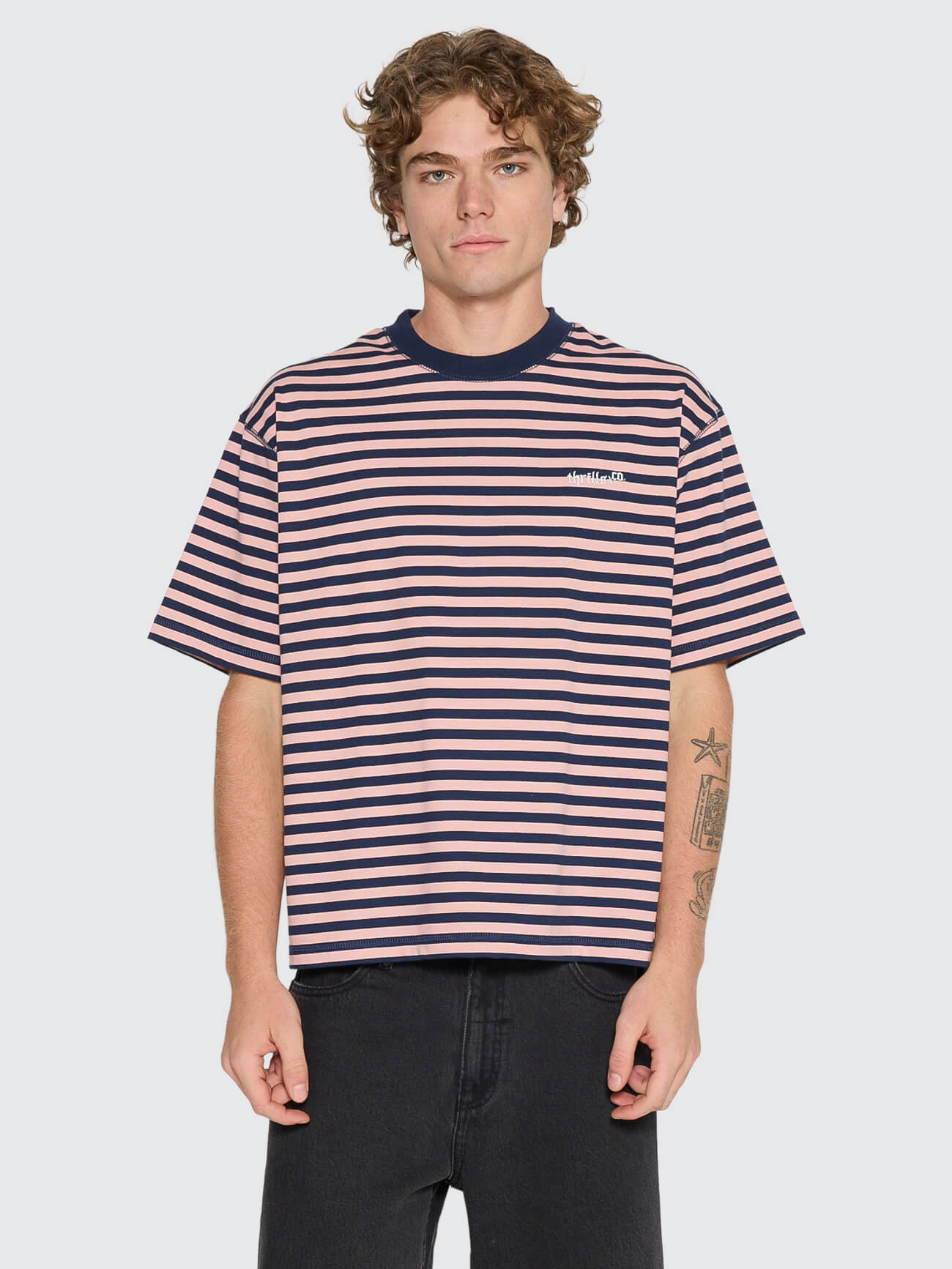 Echoes Stripe Box Fit Oversize Cropped Tee - Navy Stripe XS