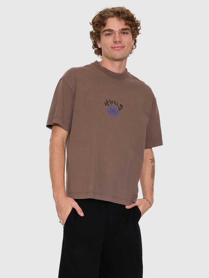 Staggered Box Crop Tee - Falcon XS
