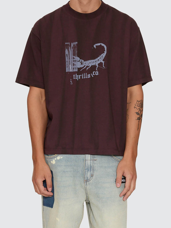 New Delusions Box Crop Oversize Tee - Sunfade Bleach Aubergine XS