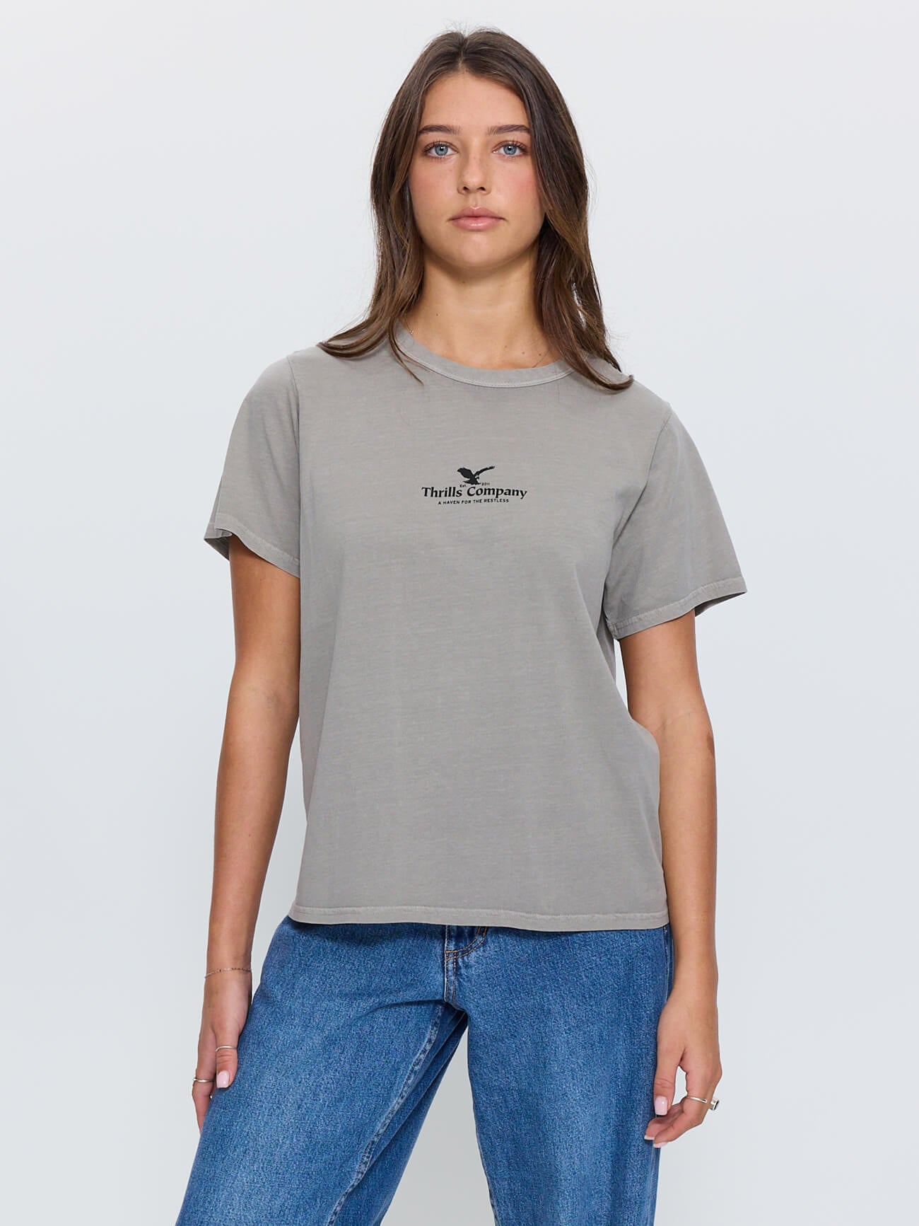 Haven For The Reckless Relaxed Tee - Fog 4