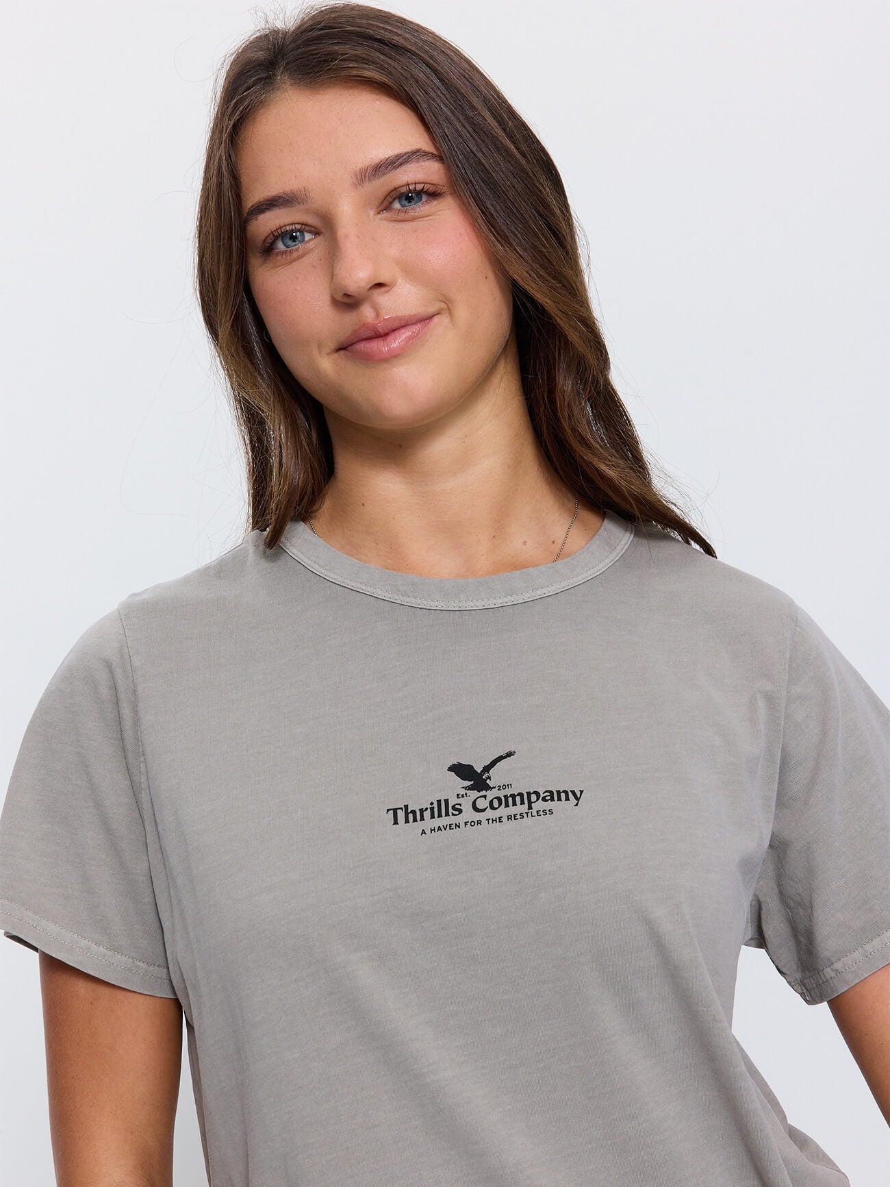 Haven For The Reckless Relaxed Tee - Fog 4