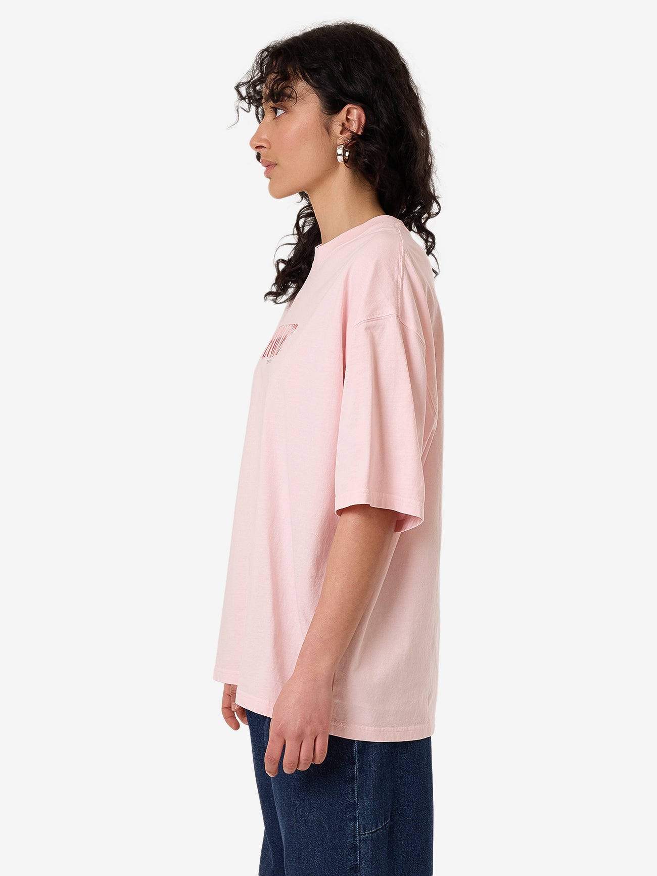 Highly Evolved Oversized Tee - Barely Pink 4