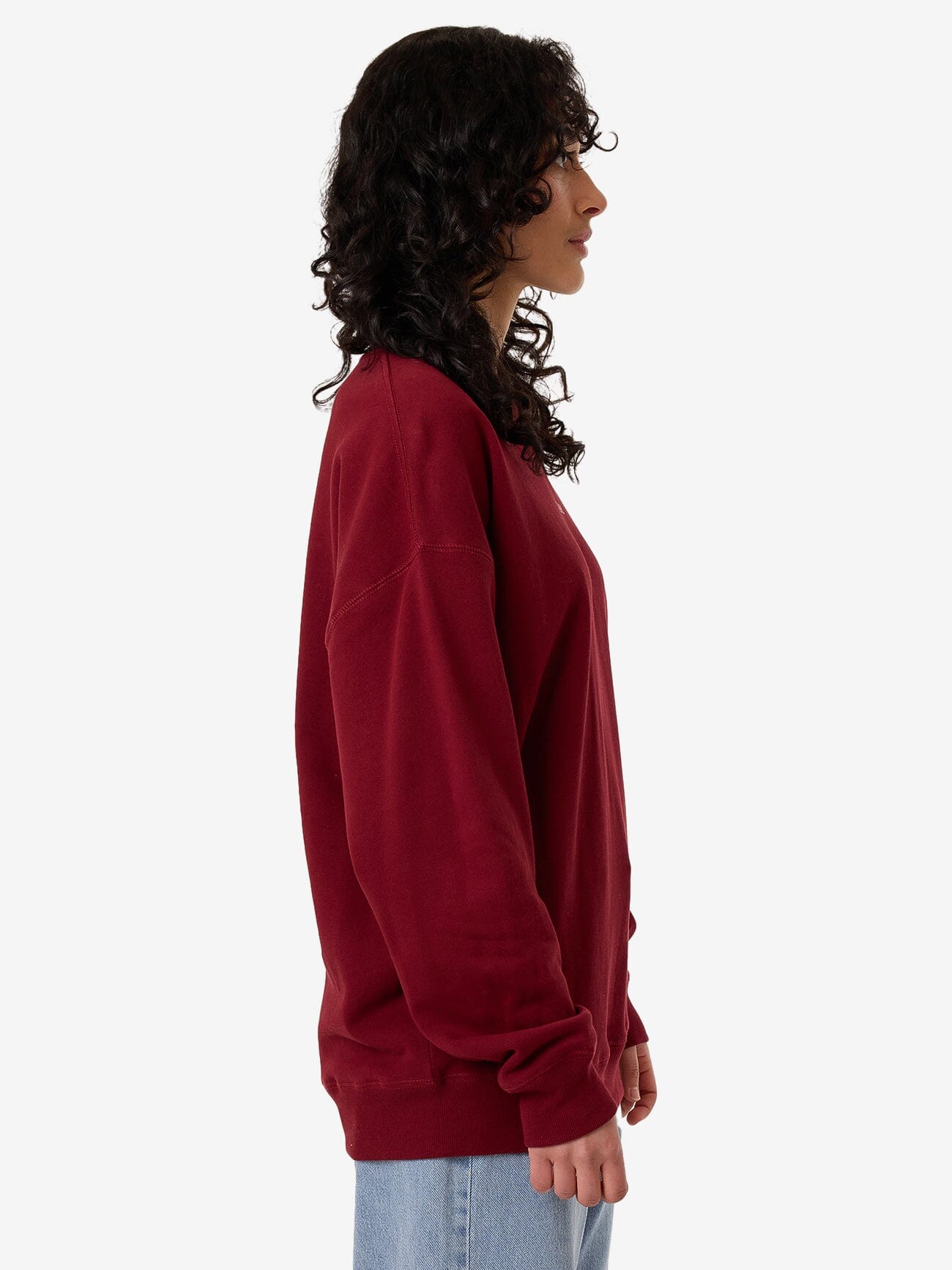 Minimal Thrills Slouch Crew - Cabernet 4