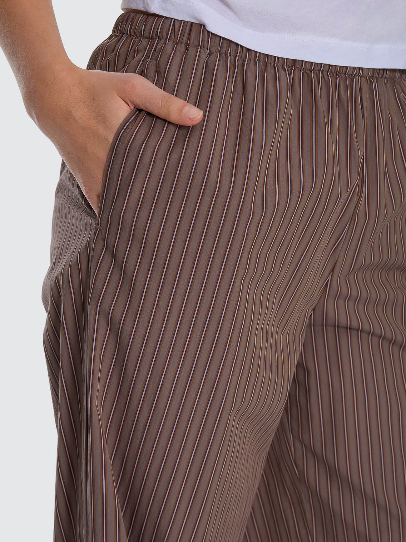 Brentwood Stripe Pant - Falcon 4